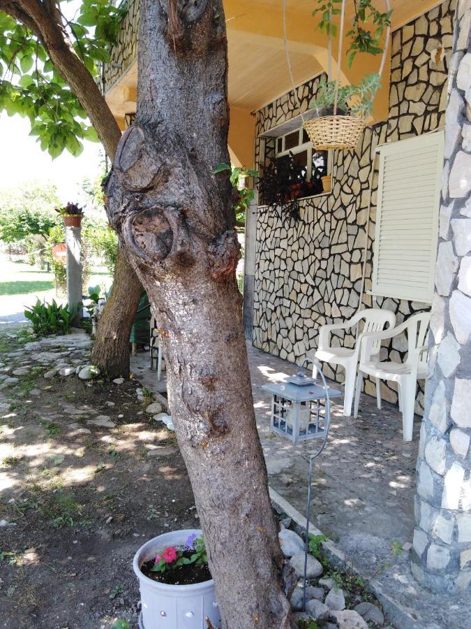 Miltos Rooms Leptokarya (Pieria) Exterior foto